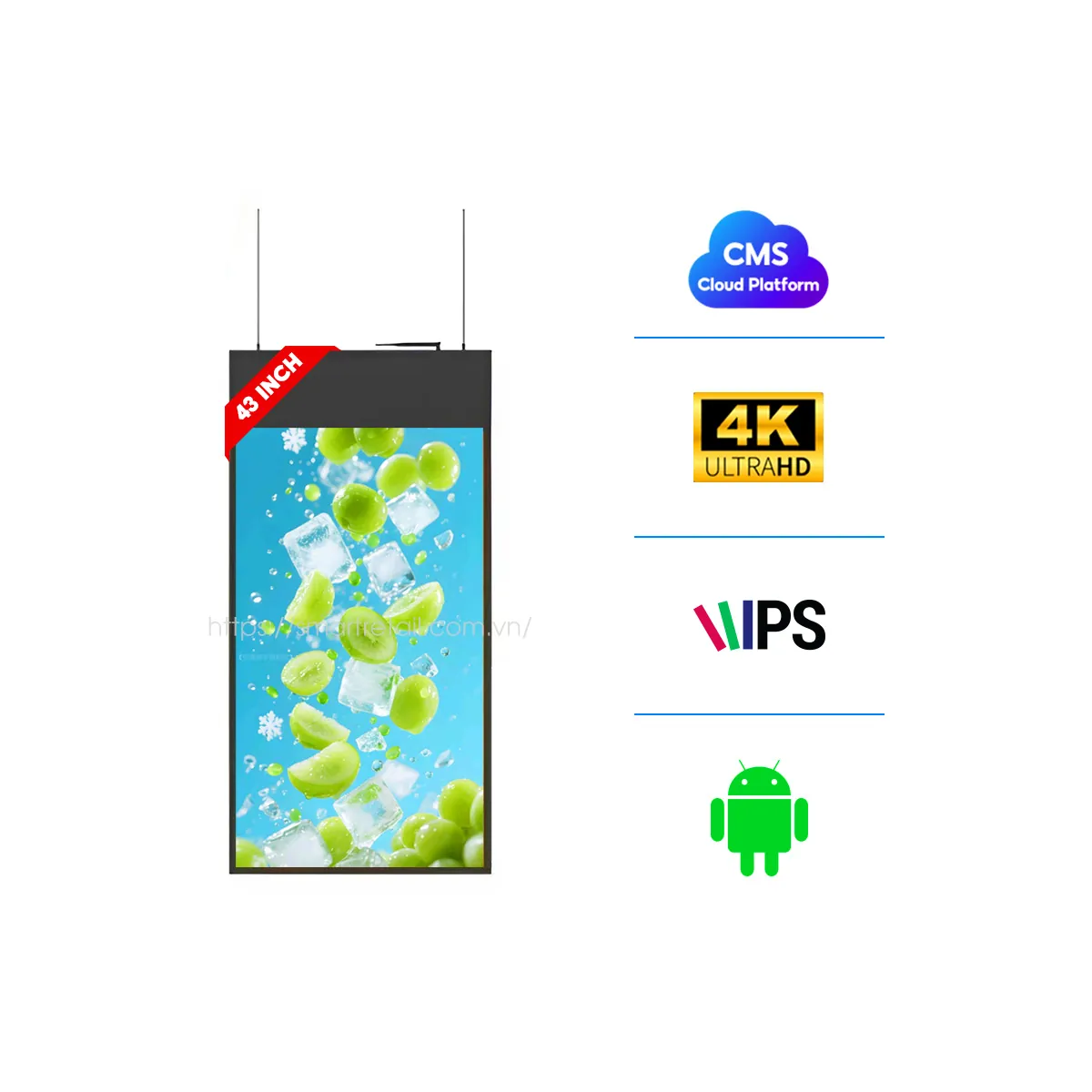 Màn hình thả trần hai mặt 43 inch | SmartRetail