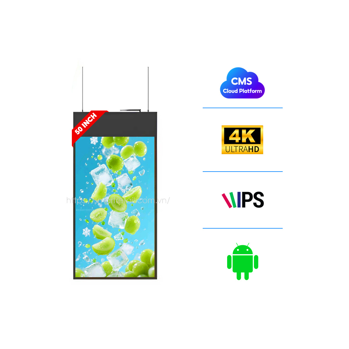 Màn hình thả trần hai mặt 50 inch | SmartRetail