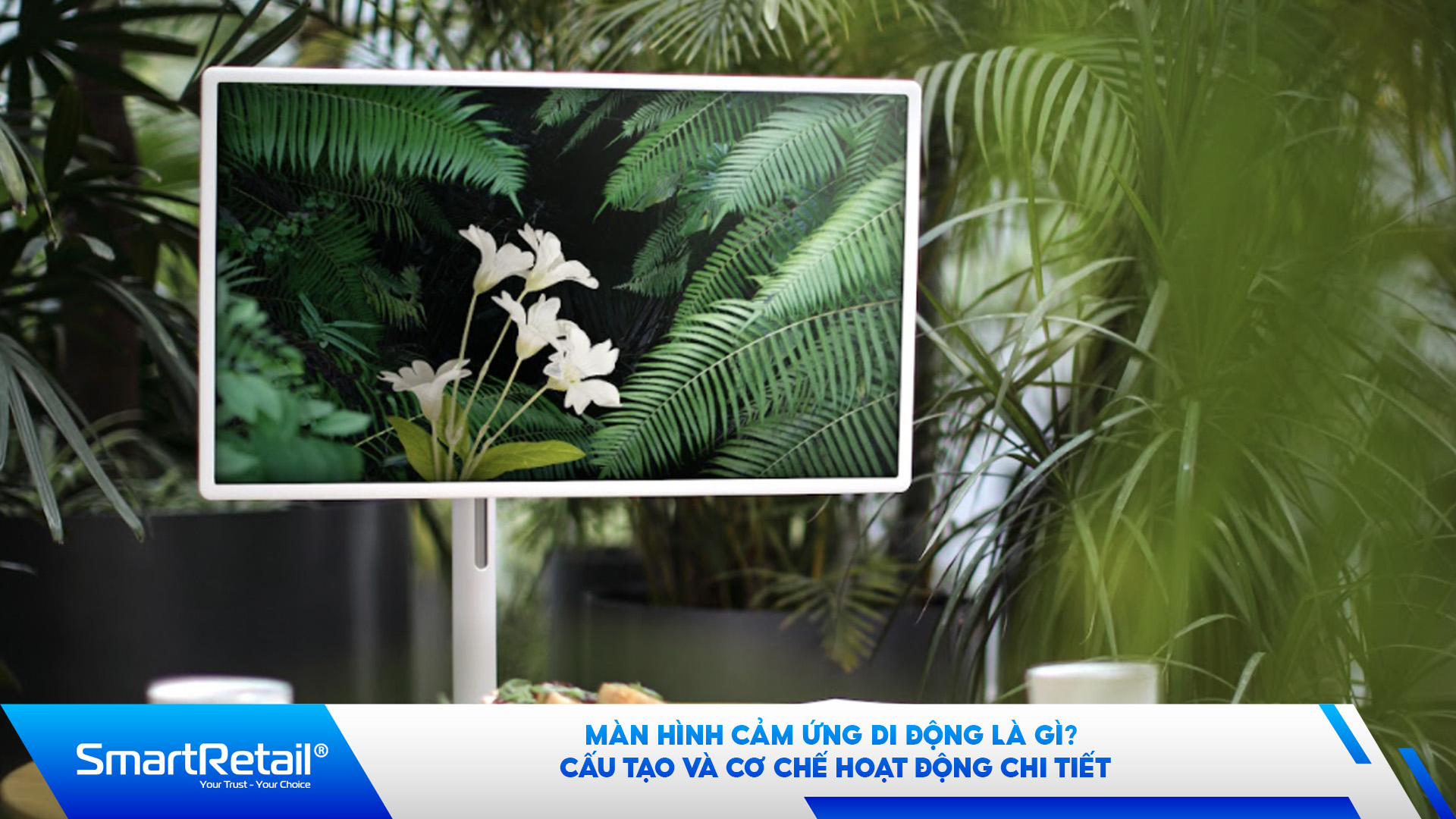 Man Hinh Cam Ung Di Dong La Gi