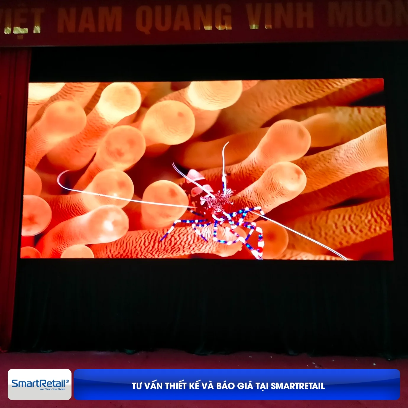 Tu Van Thiet Ke Module Led P125 Mt52